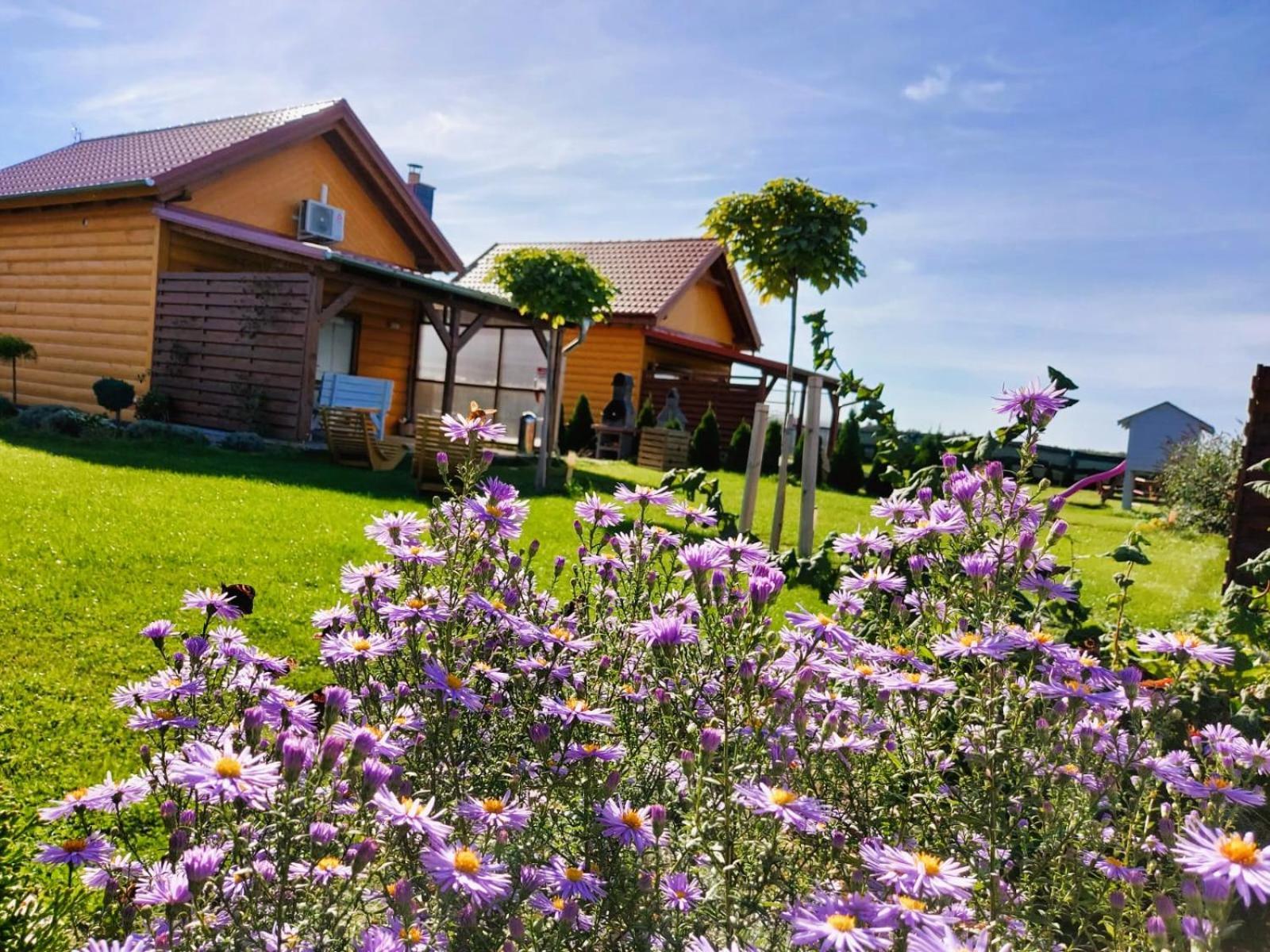 Domki Lawendowy Zakatek Boszkowo Exterior foto